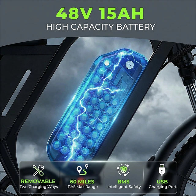 US Free Shipping F6 48V15Ah  20 Inch EBike Fatbike Fat Tire Electric Dirt Mountain E Bike Electric Bicycles NFC  Fast Shipping